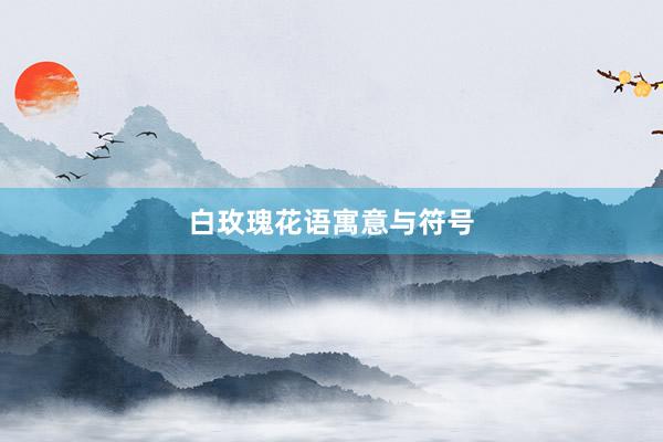 白玫瑰花语寓意与符号