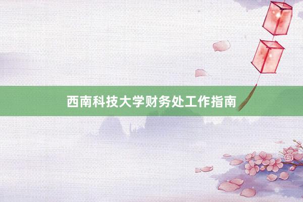 西南科技大学财务处工作指南